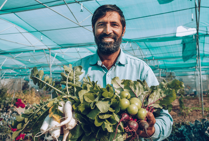 Documenting Regional Food Systems