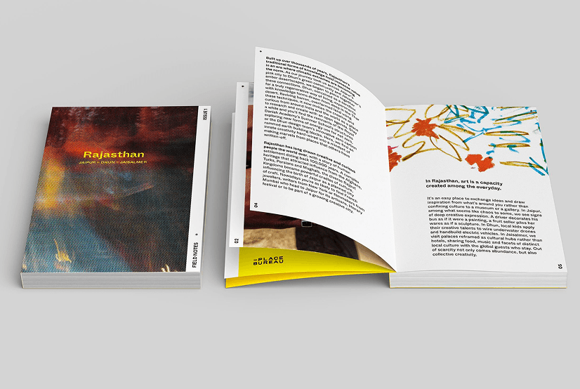 Field Notes Rajasthan