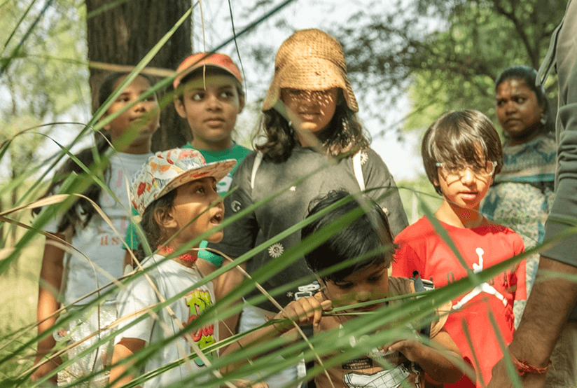 Seasonal Outdoor Campus